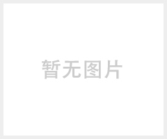 复合气体检测仪（MX2100）